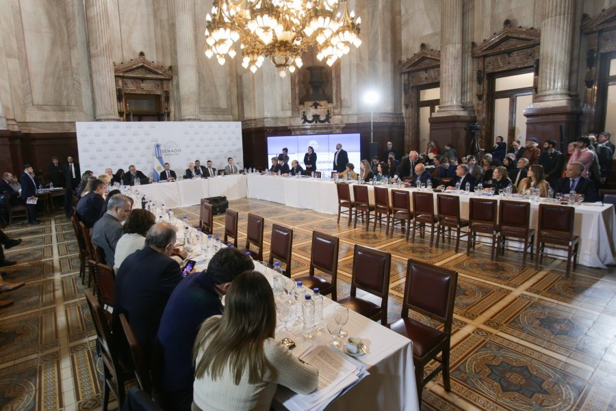 La reuni&oacute;n del plenario de comisiones de la C&aacute;mara de Senadores, este lunes.