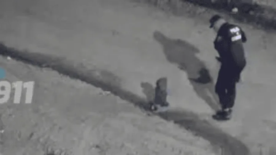 Momento del hallazgo.