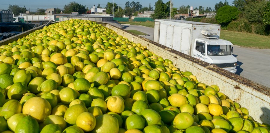 BRECHA. La diferencia entre lo que cobra el productor y paga el consumidor sigue firme.