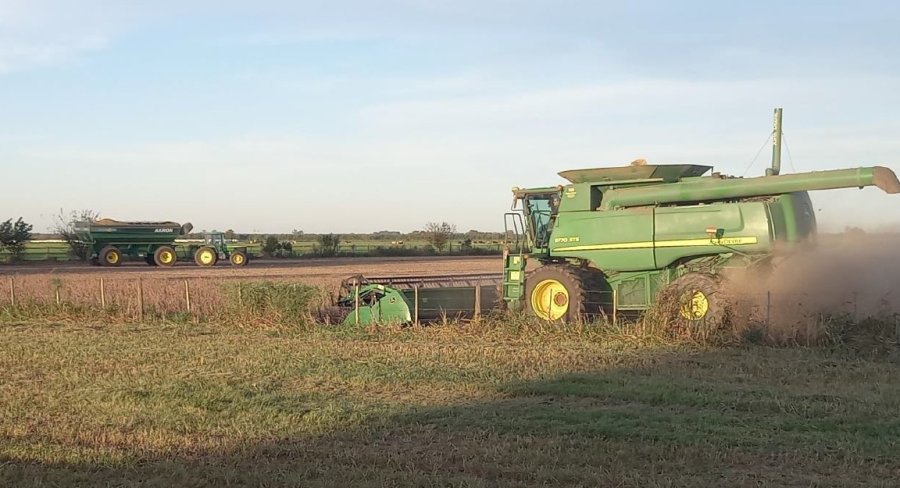 AVANCE. El clima hasta el momento permitió cosechar apenas el 68% de la soja.