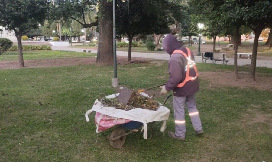 Se intensificaron las tareas de barrido manual en los senderos y carpetas verdes.