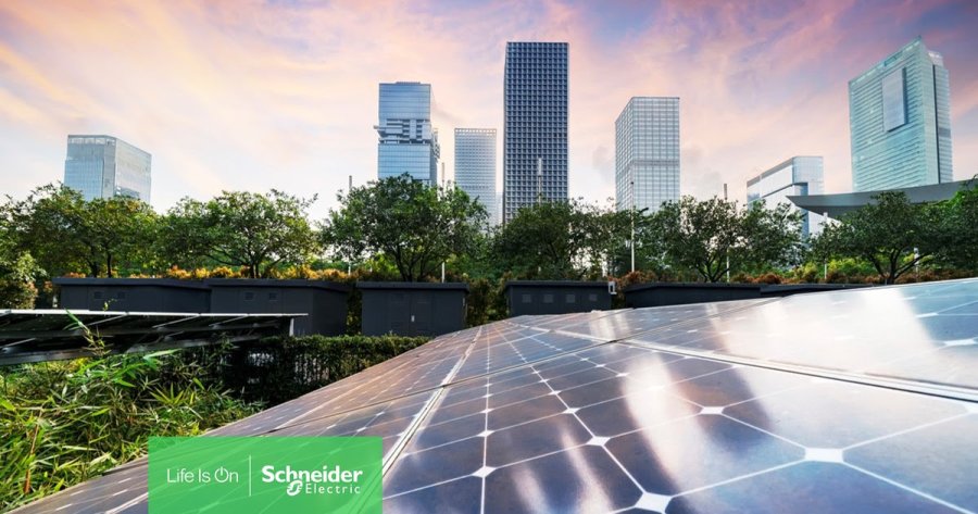 El respeto, la protecci&oacute;n y la restauraci&oacute;n de la biodiversidad son fundamentales para asegurar un futuro m&aacute;s sostenible.