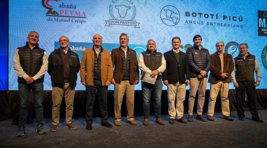 TENDENCIA. Con hacienda especial y en un ambiente distendido, los precios mejoraron.