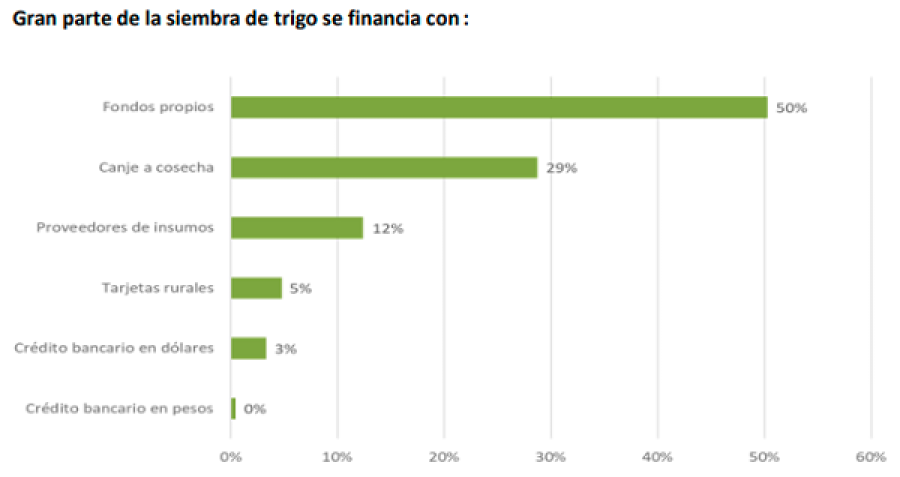 FINANCIACIÓN. Pensando en la campaña fina, buena parte del sector se financiará con recursos propios.