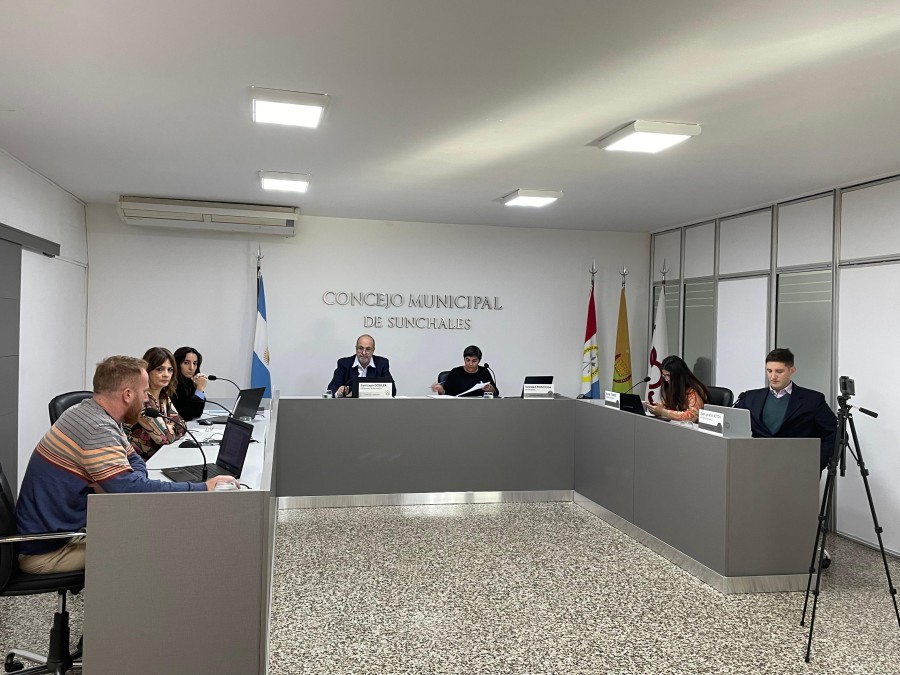 Los ediles durante una de sus sesiones.