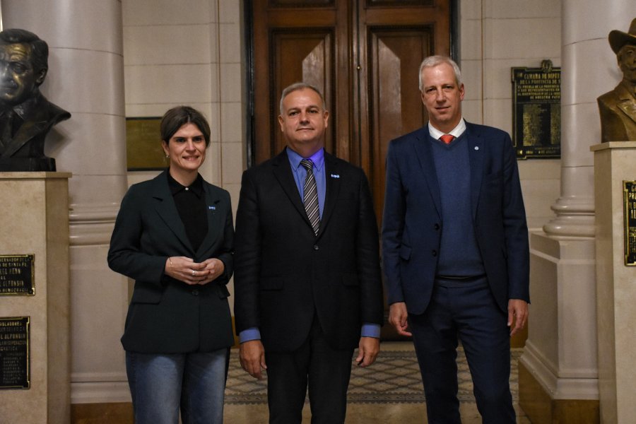 INICIATIVA. Diputados Charo Mancini, Pablo Far&iacute;as y Dionisio Scarpin.