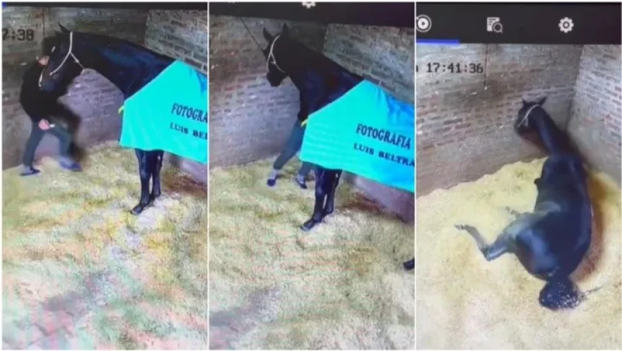 Una muestra de lo sucedido.