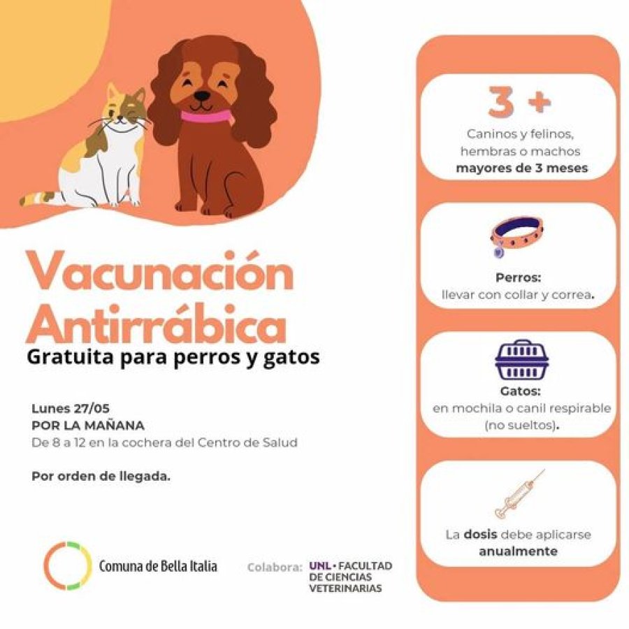 Promoci&oacute;n de la actividad.