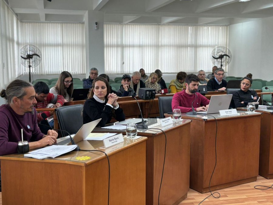 Los concejales de la oposición, Martín Racca, Paz Caruso, Juan Senn y Valeria Soltermam durante la sesión de este viernes.