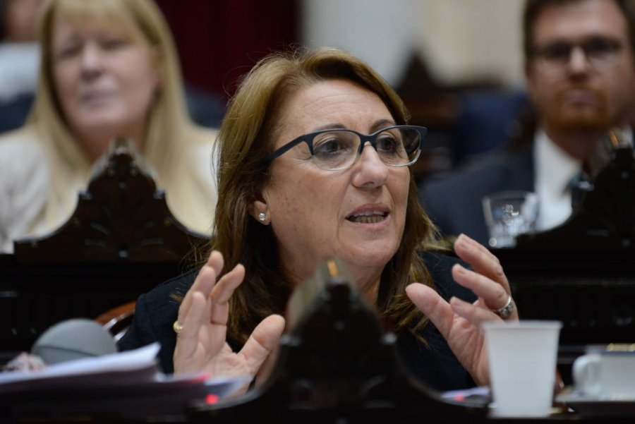 La diputada nacional Mónica Fein preside el Partido Socialista de la Argentina.