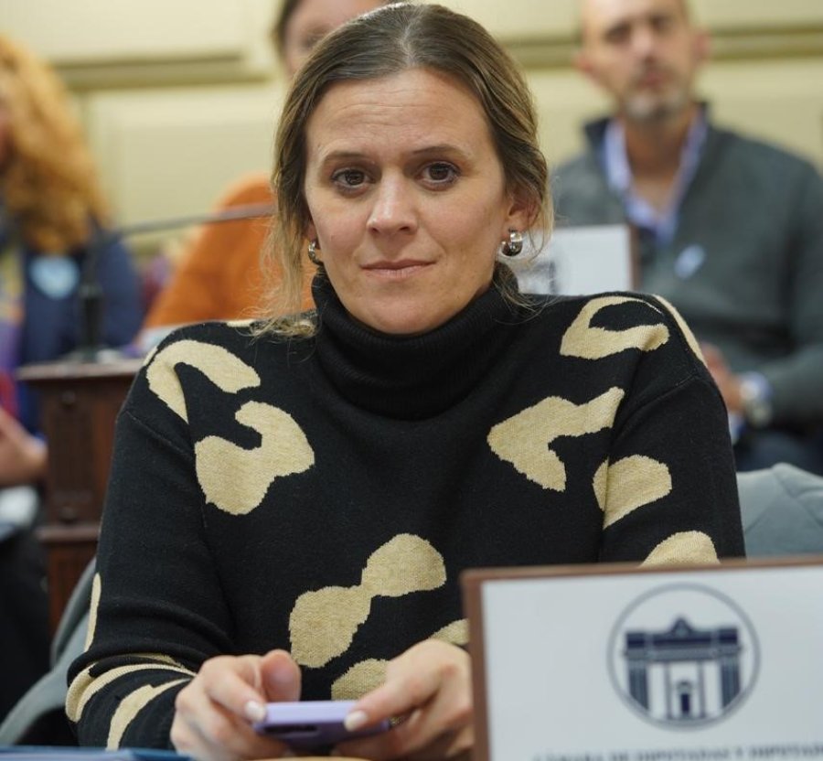 La diputada provincial Sof&iacute;a Masutti, una de las autoras del proyecto.