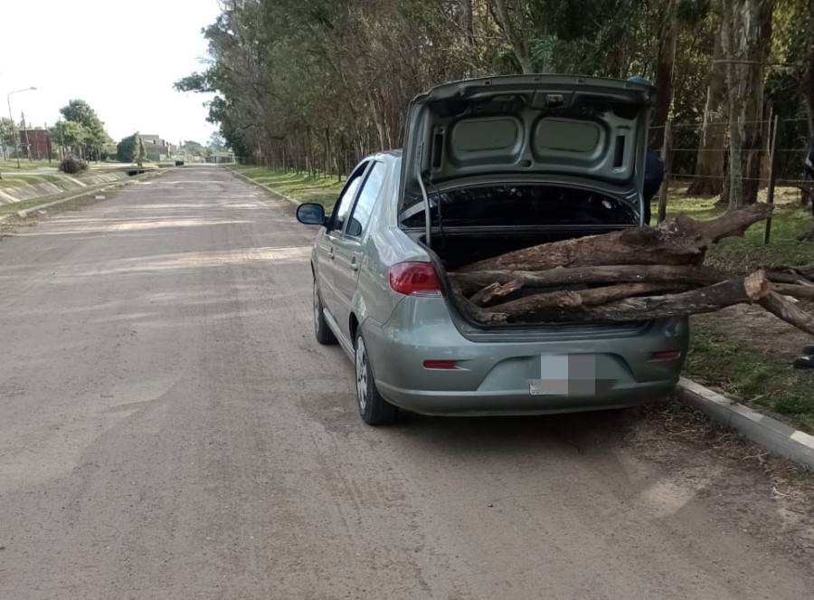 El inescrupuloso sujeto se aprovisionó de leña del bosque nativo y educativo del espacio verde de la ciudad.