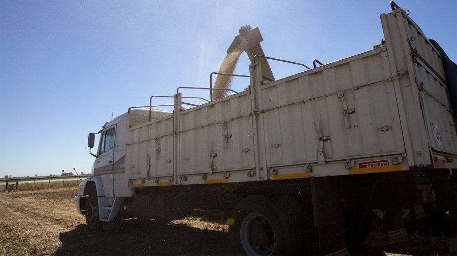 PENSAR Y ACTUAR. Con las señales que brinda el mercado, es momento de planificar y "cubrirse".