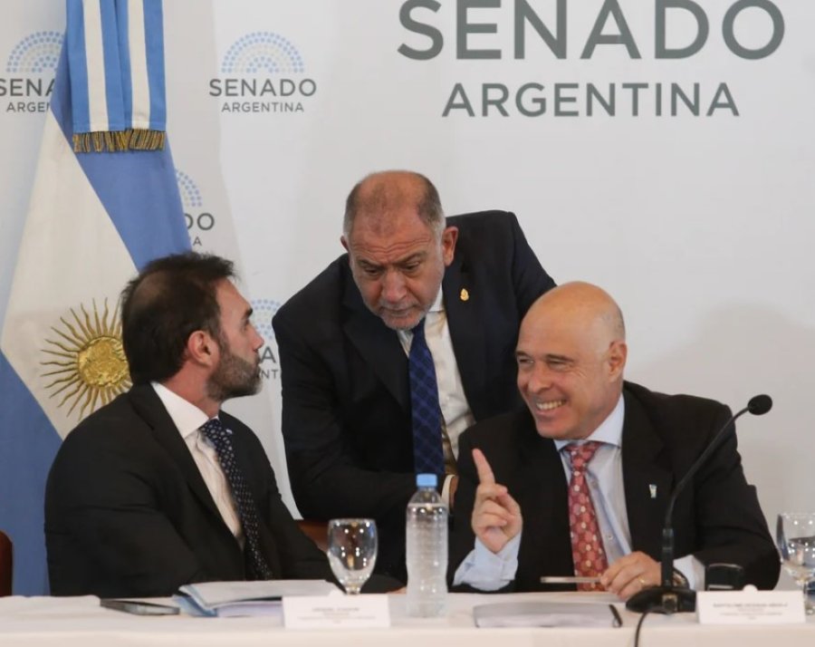 La Libertad Avanza (LLA) logr&oacute; alinear a los senadores d&iacute;scolos para que acompa&ntilde;en los textos.