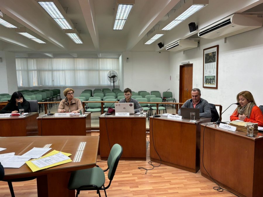 La concejal Carla Boidi dio detalles del proyecto que impulsa para incluir al edificio municipal en la lista de bienes protegidos.