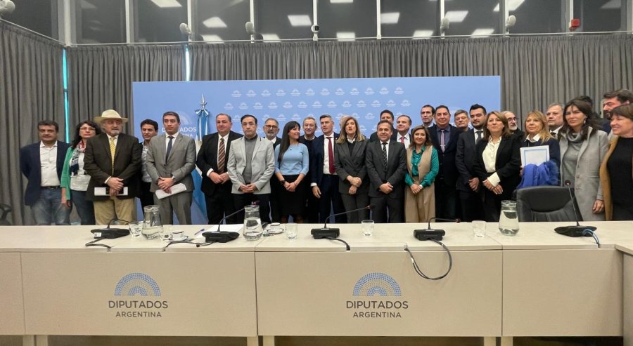 Intendentes de ciudades del interior en el Congreso junto a legisladores nacionales.