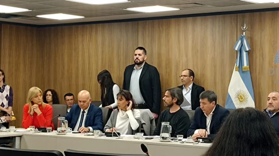 Comisi&oacute;n de Discapacidad donde se trat&oacute; un proyecto para otorgar prestaciones integrales.