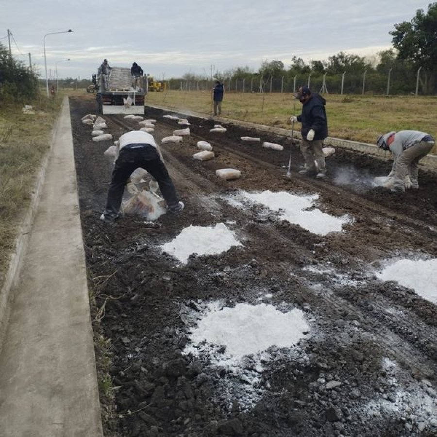Obreros trabajando en la preparaci&oacute;n del suelo.