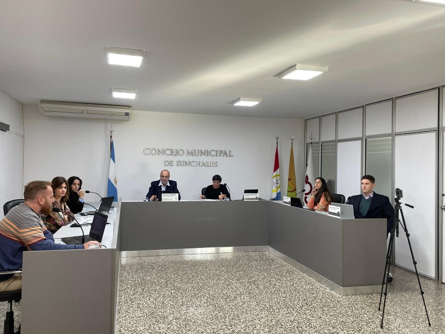 Los ediles durante una de sus sesiones.