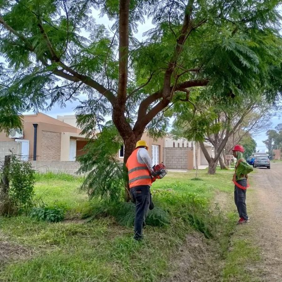 Personal municipal cumpliendo con la labor.