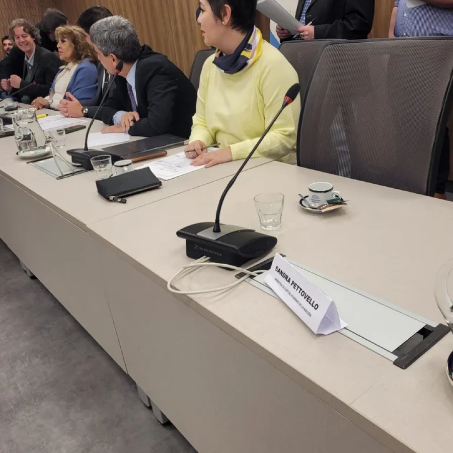 La silla, sin Pettovello, una de las im&aacute;genes del d&iacute;a en el Congreso.