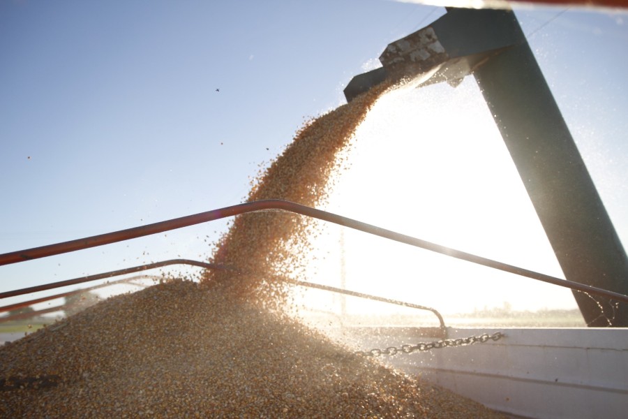 SIMPLIFICACIÓN. La decisión del Gobierno busca darle mayor celeridad a los procesos administrativos.