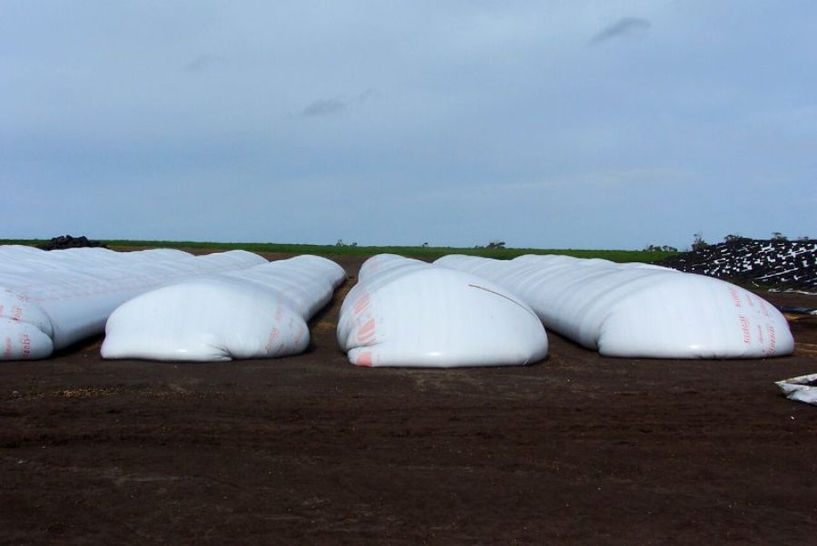 POLÉMICA. El almacenamiento de granos todavía está mal visto y los productores salen perjudicados.