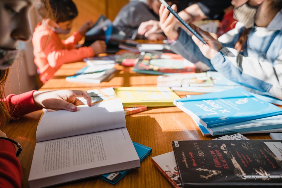 Aprobaron el programa Bibliotecas Barriales.