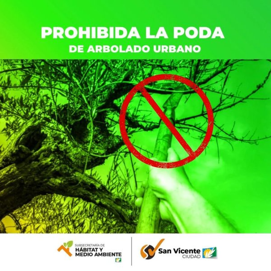 Difusi&oacute;n de la norma en vigencia.