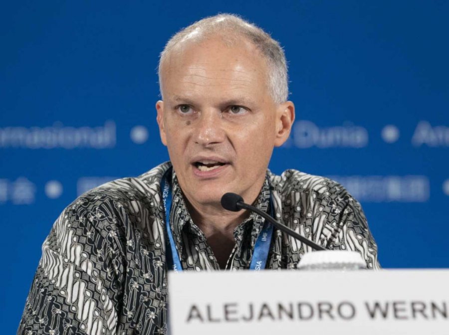 Alejandro Werner, ex director del FMI.