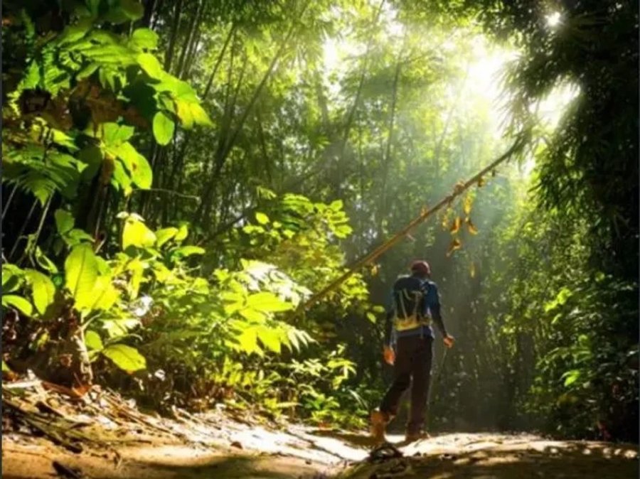 METODOLOGÍA. La Naturaleza y el capital humano forman una unidad conceptual para calcular la riqueza de un país, según el Banco Mundial.