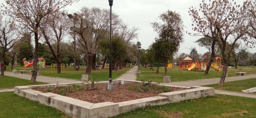 ESPACIOS P&Uacute;BLICOS. Fueron intervenidos los canteros de cada v&eacute;rtice de Plaza Sarmiento.