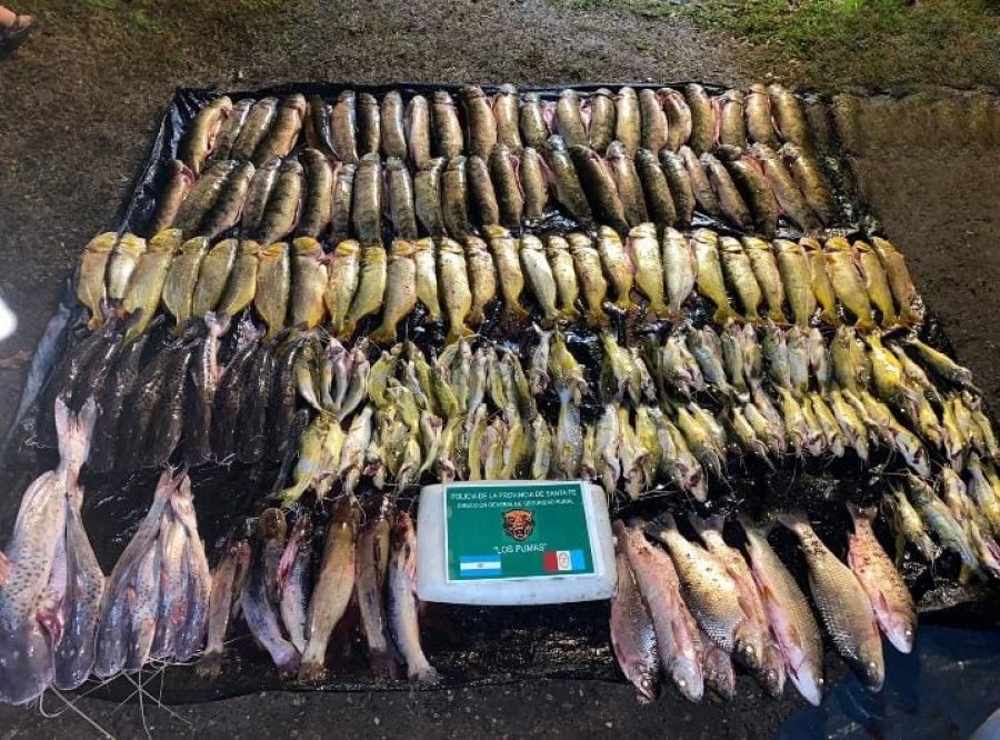 Seis hombres fueron notificados por infringir las leyes de pesca vigentes en Arroyo Leyes.