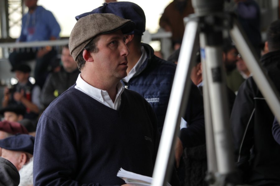 Más de 20 cabañas participarán en este primer remate de Raza Carne en Emilia.