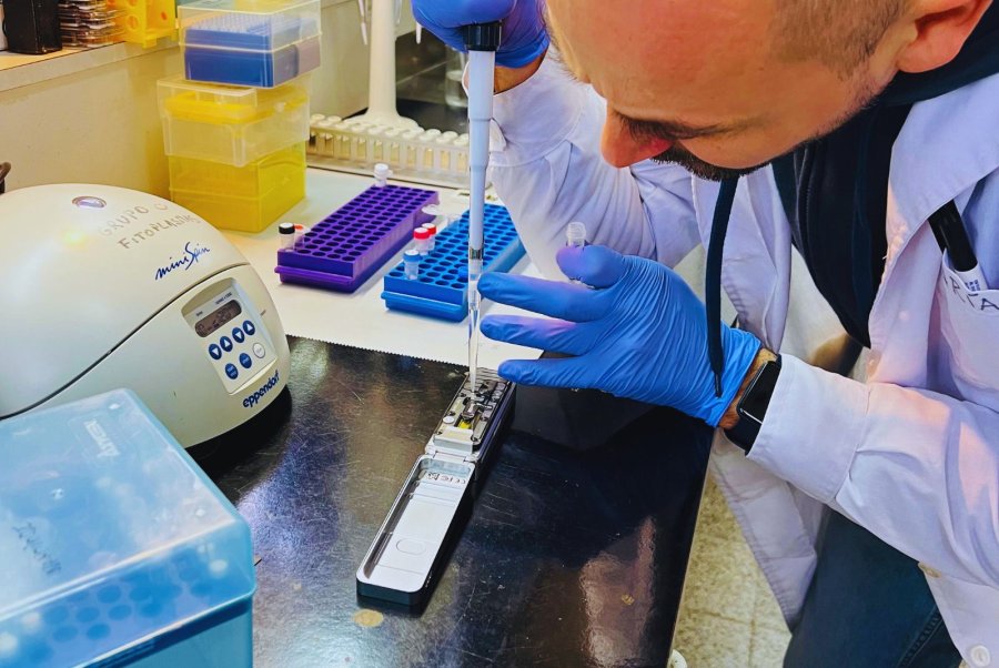 HISTÓRICO. La secuencia del genoma permitirá diseñar estrategias más eficientes para el control del insecto.