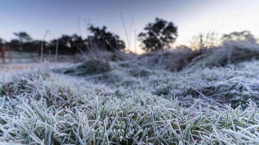 DESCENSO DE TEMPERATURA. Se esperan para los pr&oacute;ximos d&iacute;as m&iacute;nimas que podr&iacute;an alcanzar los 0 grados en Rafaela y posibles heladas.