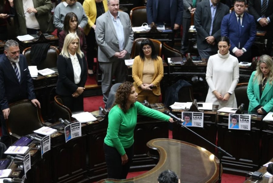 Tambi&eacute;n juraron sus reemplazantes por el FIT.