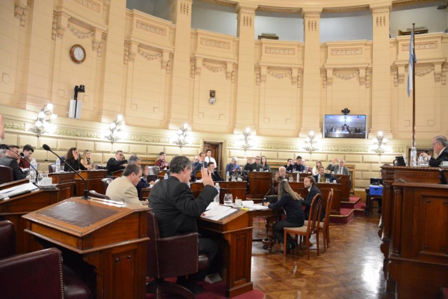 SENADO. La sesi&oacute;n fue presidida por Felipe Michlig.