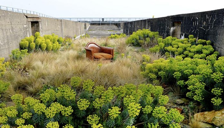 "Jard&iacute;n planetario".