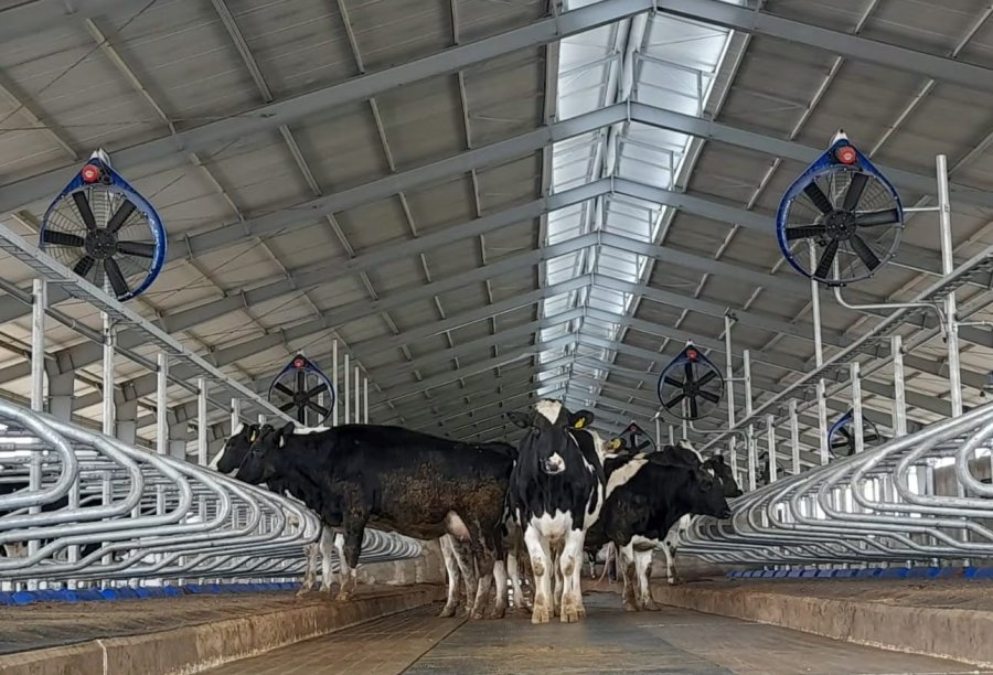 POSITIVO. No sólo es un anuncio favorable a la industria sino también para los tambos.