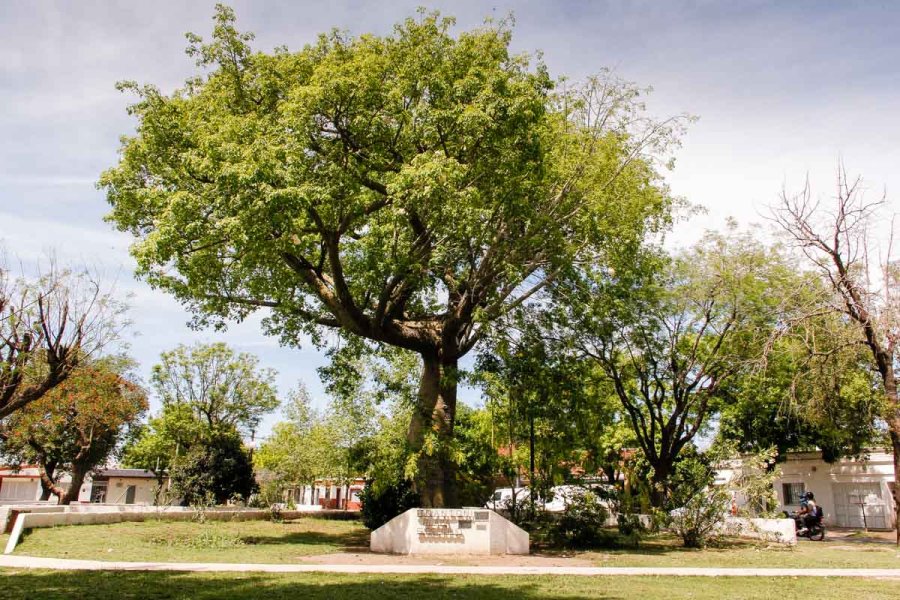 Plaza D'Antoni, espacio en el que se desarrollar&aacute;n las celebraciones.