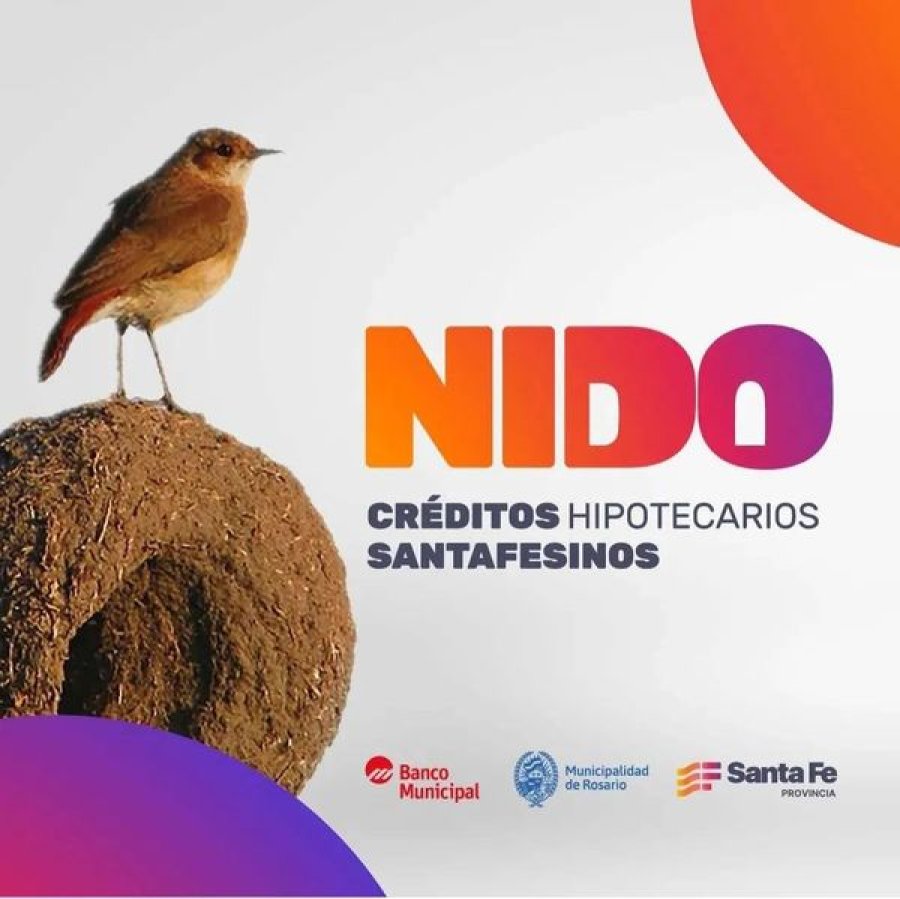 Promoci&oacute;n del programa.