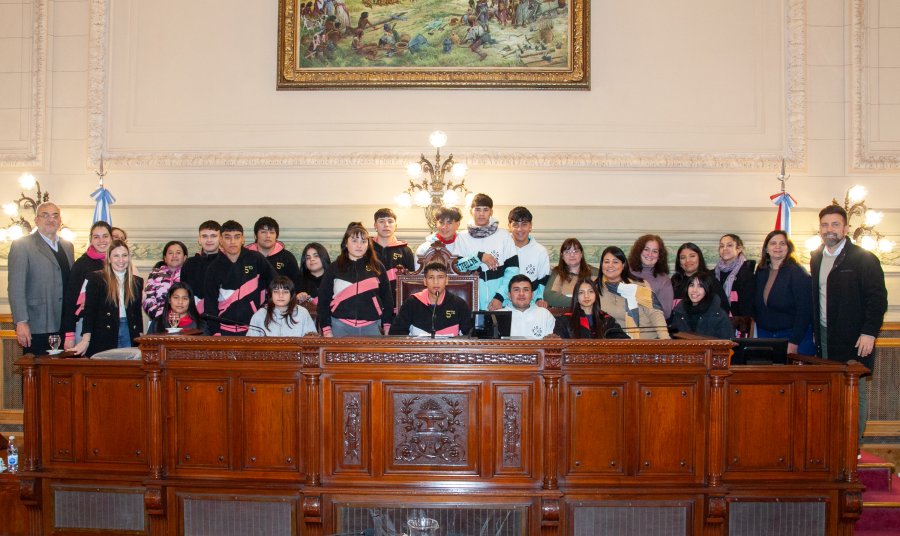 Los alumnos de Josefina en el Senado.