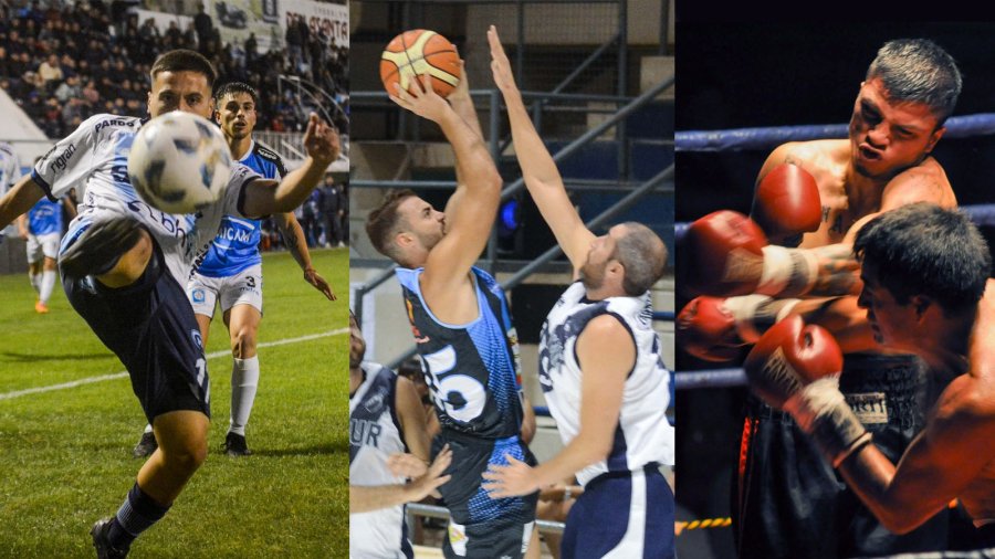 Realizar fotografía deportiva requiere formación, pericia, experiencia y tener en cuenta algunos tips.