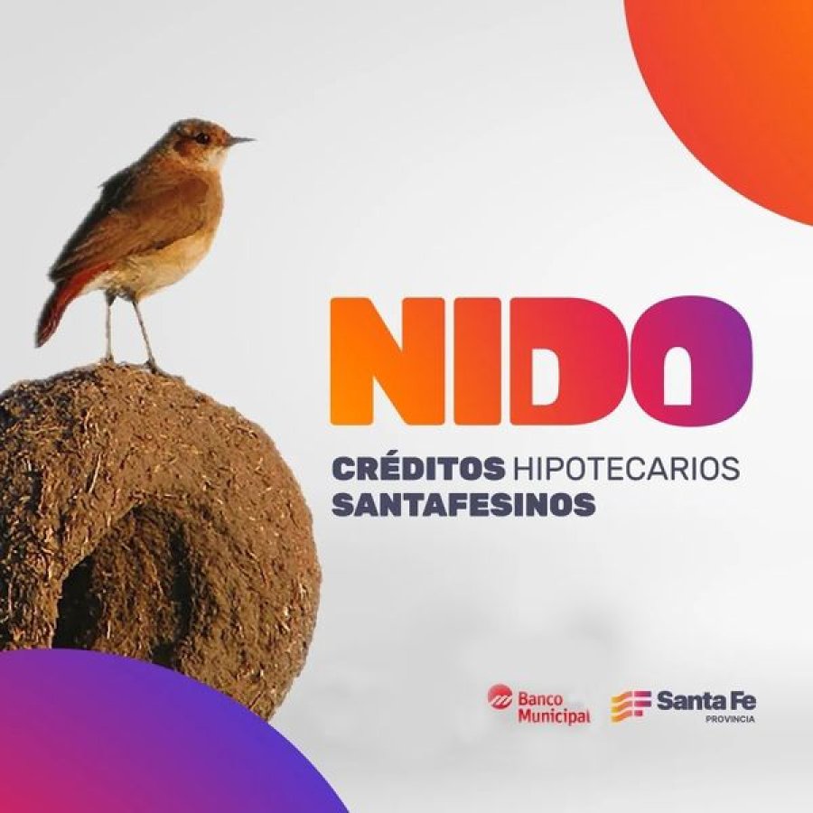 Promoci&oacute;n del programa.
