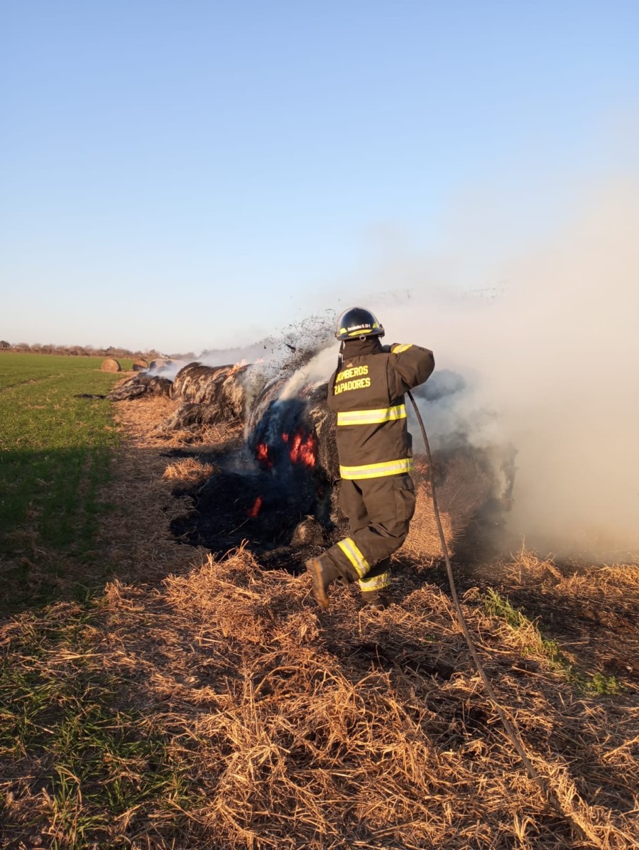 Resultaron dañados 80 rollos de pasturas secas utilizadas en la alimentación de animales vacunos.