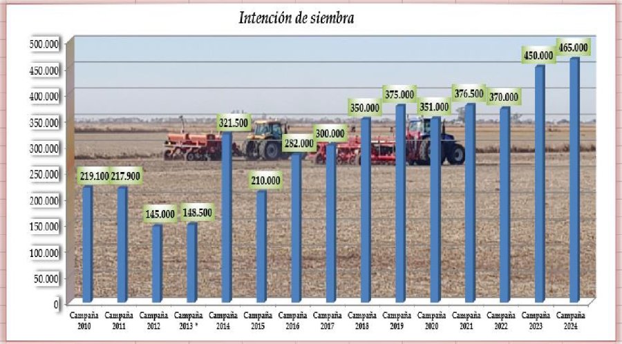 TRIGO. Una de las campañas más voluminosas de los últimos años en la región centro norte provincial.