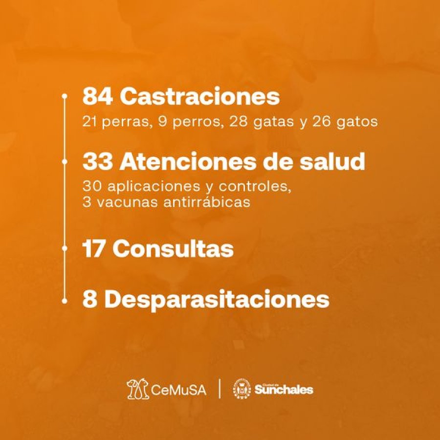 S&iacute;ntesis de lo actuado.