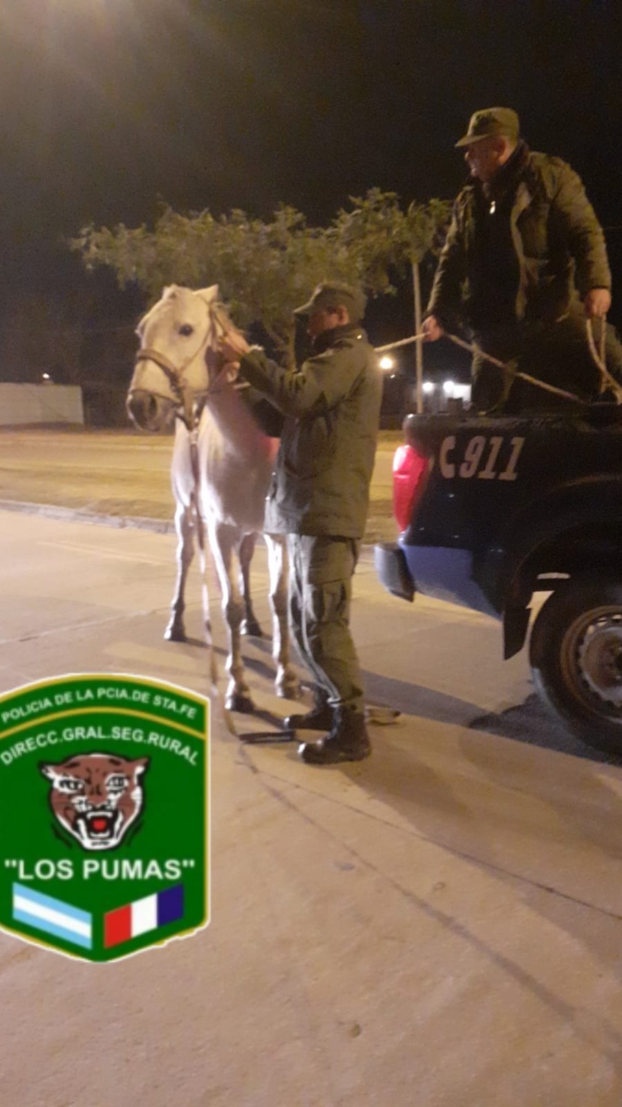 La Policía de Seguridad Rural "Los Pumas" trasladaron a los caballos secuestrados fuera de la planta urbana.
