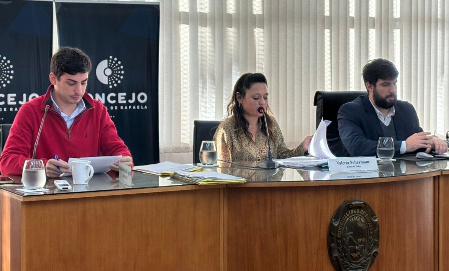 Valeria Soltermam, vicepresidenta 1&deg; del Concejo, presidi&oacute; la sesi&oacute;n extraordinaria.